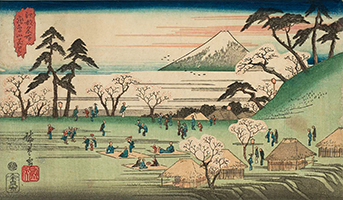 Cherry-blossom Viewing at Asuka Hill, by Hiroshige, c.1855-56