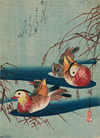 Two pairs of Mandarin Ducks (chuban)