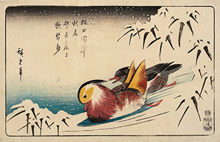 Mandarin Ducks and Snow-covered Bamboo, by Hiroshige, c. 1840-44