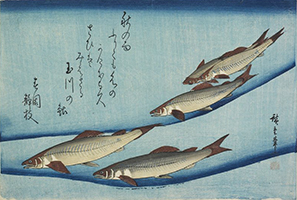 Trout, by Hokusai, c.1832-33